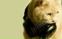 Фотография Бондарева Евгения