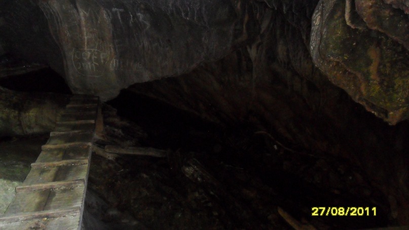 Ольга С фотография #42