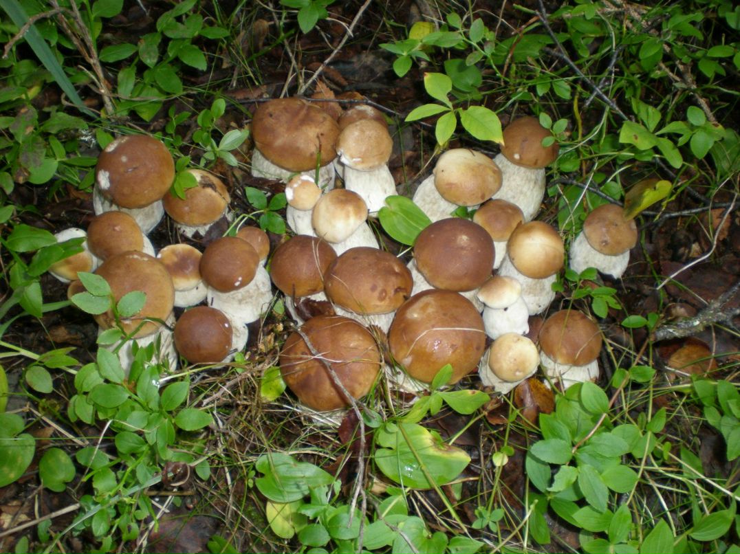 Сергей Суетин фотография #5