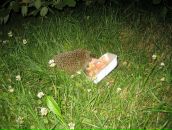 Дмитрий Карцев фотография #14 (источник - https://vk.com/id1531047)