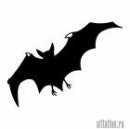 Ярославця Андріївна фотография #9 (источник - https://vk.com/id23558852)