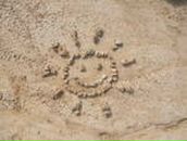 Фотография Овчинниковой Натальи