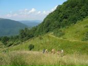 Серж Францішек фотография #25 (источник - https://vk.com/id5663379)