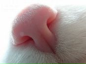 Юлік Білик фотография #4 (источник - https://vk.com/id15814045)