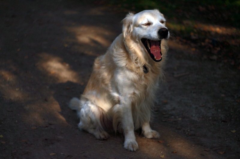 Сашка Разбаш фотография #5