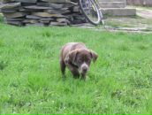 Іван Алмаші фотография #36 (источник - https://vk.com/id89643469)