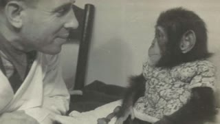 Страшная ТАЙНА теории ДАРВИНА! Ученые НЕ ХОТЯТ, чтобы ВЫ об этом ЗНАЛИ