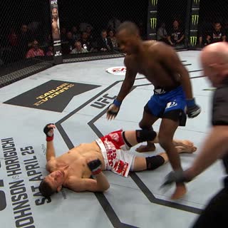 Один из самых быстрых нокаутов в истории UFC в исполнении Леона Эдвардса