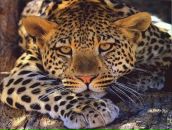 Фотография Воробьевой Юлии