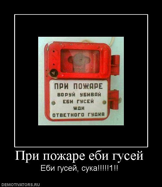 Иван Пташник фотография #19