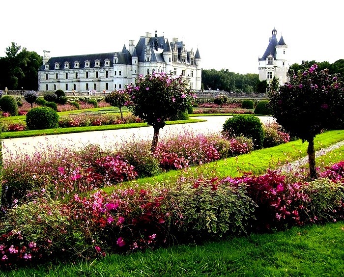 Dawa Levi фотография #33