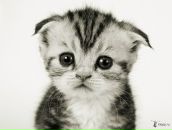 Віталій Височін фотография #27 (источник - https://vk.com/id4700634)