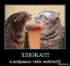 Стелла А фотография #48 (источник - https://vk.com/id67377697)