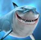 Фотография Пирюшова Александра