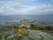 Вероніка Козаченко фотография #47 (источник - https://vk.com/id7754428)