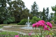 Lenka Bashirova фотография #22 (источник - https://vk.com/id3671995)