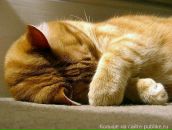 Фотография Погребенного Олега