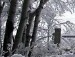 Лєна Бушко фотография #1