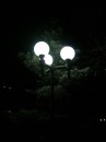 Фотография Сорокина Максима