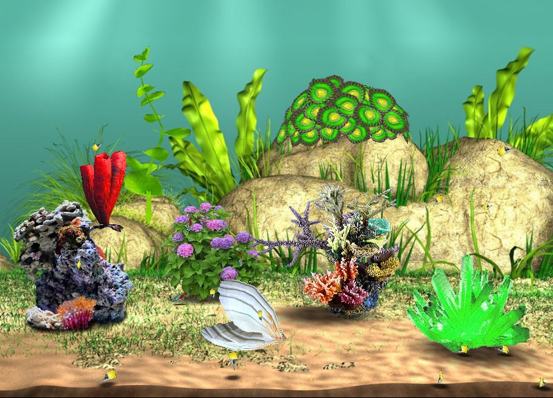 Андрей Фучаджи фотография #21