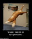 N[i]ki Baby фотография #24 (источник - https://vk.com/id66662499)