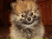 Фотография Штыковой Инны