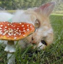 Павел Плотников фотография #4 (источник - https://vk.com/id5105313)