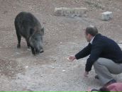 Фотография Лапшина Владимира