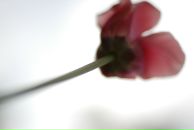 Фотография Злыдарь Олеси