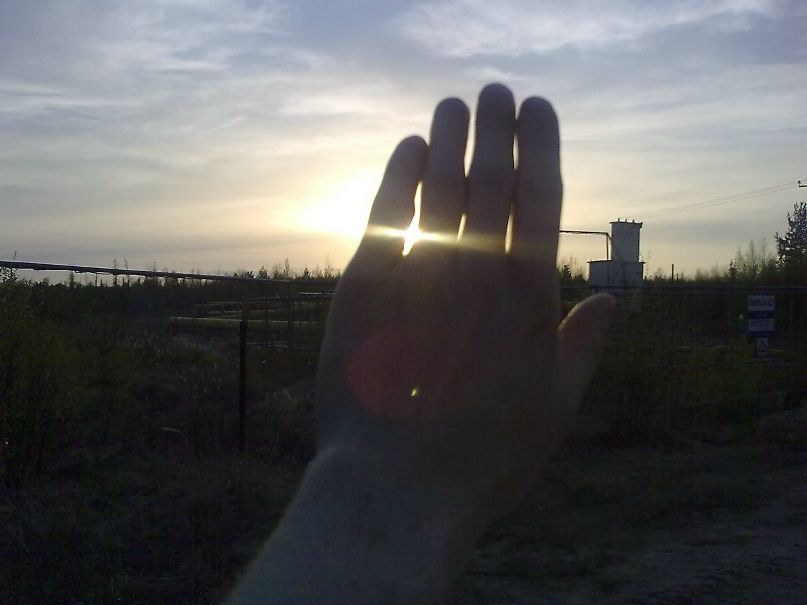 Дмитрий Гинель фотография #42