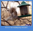 Іра Великожон фотография #15 (источник - https://vk.com/id66572897)