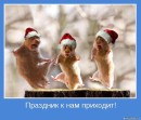 Іра Великожон фотография #6 (источник - https://vk.com/id66572897)