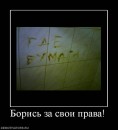 Сіроманець Патріот фотография #23 (источник - https://vk.com/id17582037)