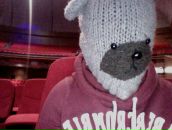 Фотография Чистаи Насти