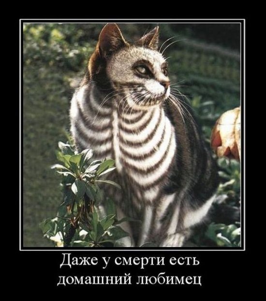 Станислав Сащенко фотография #26