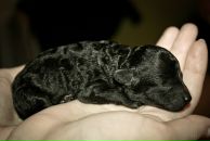 Фотография Page Kseniya