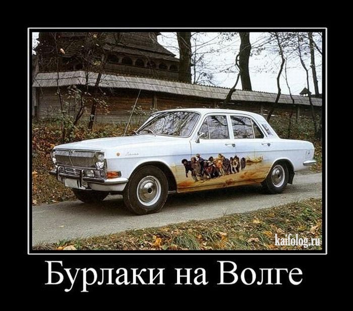 Стас Тимофеев фотография #27