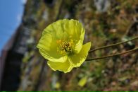 Nick N фотография #33 (источник - https://vk.com/id16209708)