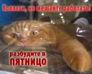 Славік Коваль фотография #14 (источник - https://vk.com/id140030281)