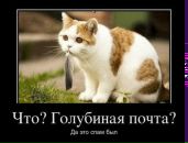 Константин Кудин фотография #18 (источник - https://vk.com/id108647)