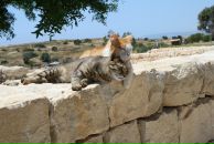 Фотография Шишкиной Оксаны