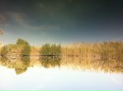 Misha Makarenko фотография #49 (источник - https://vk.com/id71938264)