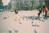 Юлія Куцай фотография #26 (источник - https://vk.com/id6405209)