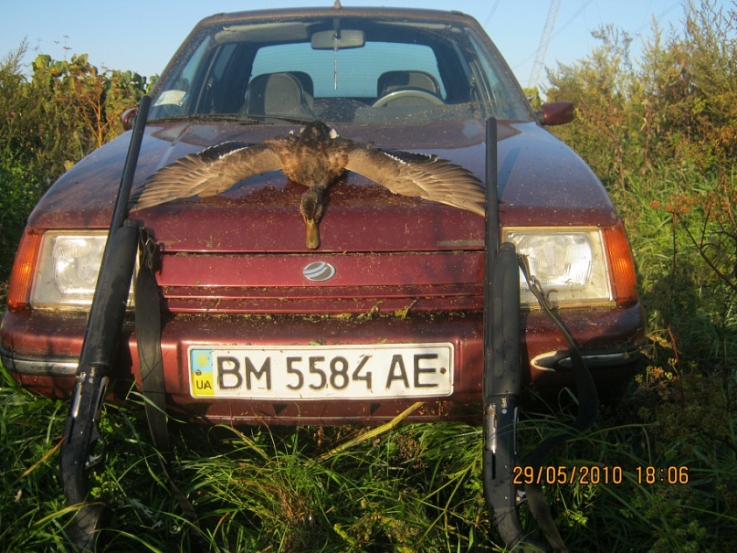 Виктор Шевченко фотография #14