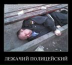 Роман Міджак фотография #33 (источник - https://vk.com/id107981863)