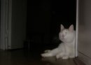 Игорь Житков фотография #49 (источник - https://vk.com/id130423)