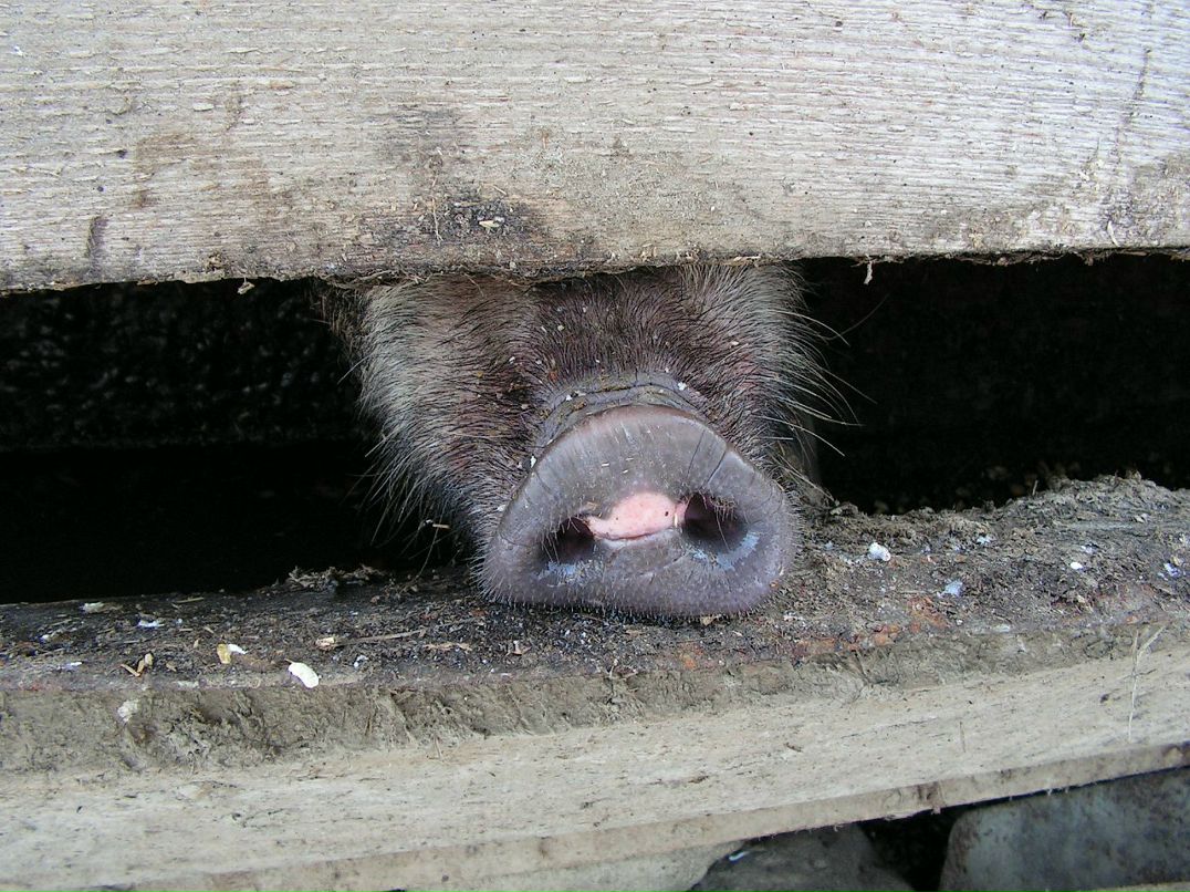 Лариса Стефанова фотография #9