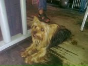 Руслан Цветков фотография #18 (источник - https://vk.com/id8536912)