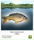 Олег Бердій фотография #47 (источник - https://vk.com/id76580477)