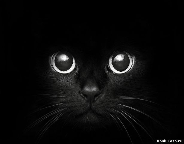 Бэлла Климанова фотография #10